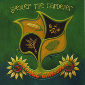 Organic Gangster