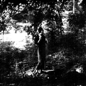 Cute und Gefährlich Triologie