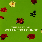 The Best of…Wellness Lounge