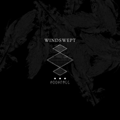 Windswept - Single