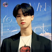 Wish You Back