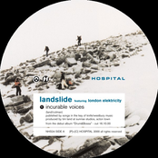 Incurable Voices / Muted Voices
