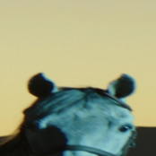 ALL ALONE, CLINING TO LIFE (Remix)