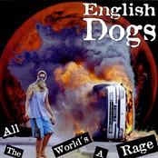 Die Waiting by English Dogs