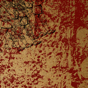Coma Regalia Split