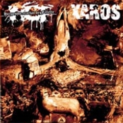 herpes de crachat de fillette / xaros