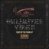 Vibes by the Pound EP