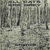Nothing Ever Changes by All Cats Are Grey