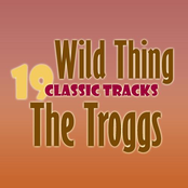 Little Pretty Thing by The Troggs