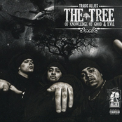 The Tree of Good & Evil