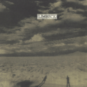 Limbeck: Hi, Everything's Great