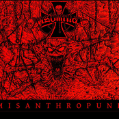 Misanthropunk