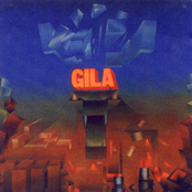 Aggression by Gila