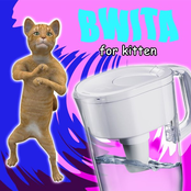Bwita for Kitten