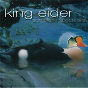 Hatching by King Eider