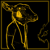 Shakey Graves: Roll The Bones X