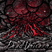 Yellowstone Supervolcano