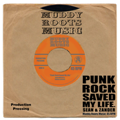 Punk Rock Saved My Life
