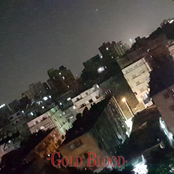 Gold Blood (2012-2018)