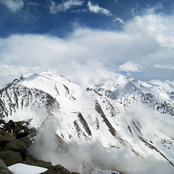 Liu Kang and The Sea Of Beards