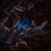 Late Night Meditation