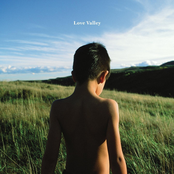 Michael Bernard Fitzgerald: Love Valley