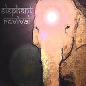 Twelve by Elephant Revival