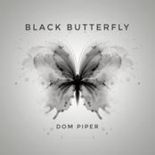 Black Butterfly