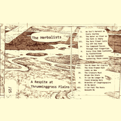 A Respite at Thrumminggrass Plains