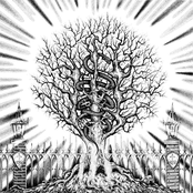 In The Company of Serpents: Ain-Soph Aur