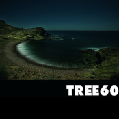 tree60