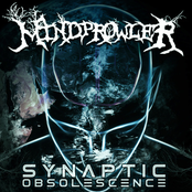 Synaptic Obsolescence