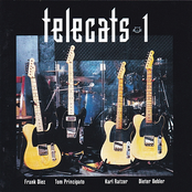Telecats 1