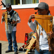 Ecuador Artists