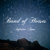 Infinite Arms Album Picture