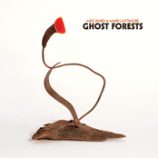 Ghost Forests Album Picture