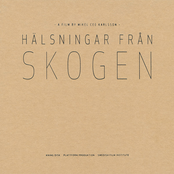 Hälsningar från skogen