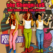 Shout (live) by The Shangri-las