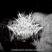 Compulsive Vaginal Disorder