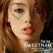 Split Personality by Skye Sweetnam