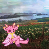 sometimes you've got to let go