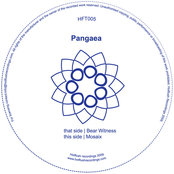 Bear Witness / Mosaix