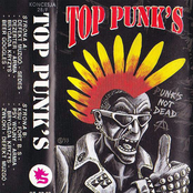 Top Punk's