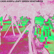 Leafy Green Vegetables
