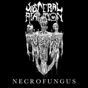 Necrofungus