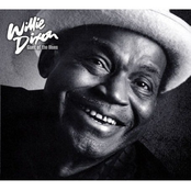 So Long by Willie Dixon