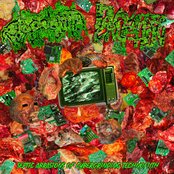 Septic Abrasions of Cybergrinding Technofilth