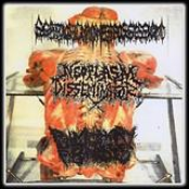 Scatologic Madness Possession / Neoplasm Disseminator / Pulmonary Fibrosis