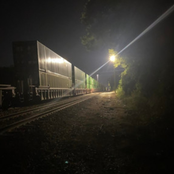 Donut Larsen: Heather