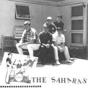 the saharas